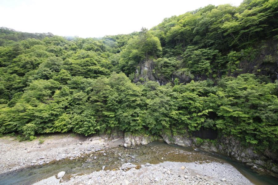 Minshuku Fukufuji Otel Nikko Dış mekan fotoğraf